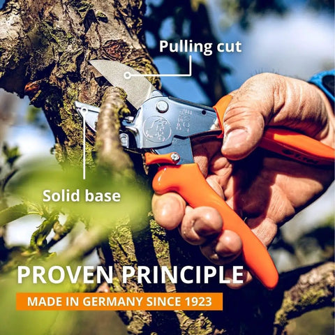 Heavy Duty Anvil Pruner For Gardening Beefy Hedge Trimmer And Pruning Shears Handheld Garden Tool With Long Lasting Carbon Steel Blade And Corrosion Resistant Coating Made In Germany being used to cut a branch.