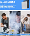 Two Pack 116130 Replacement Filter H For Winix 5500-2 Air Purifier displayed in renovation, kitchen, and cleaning settings.