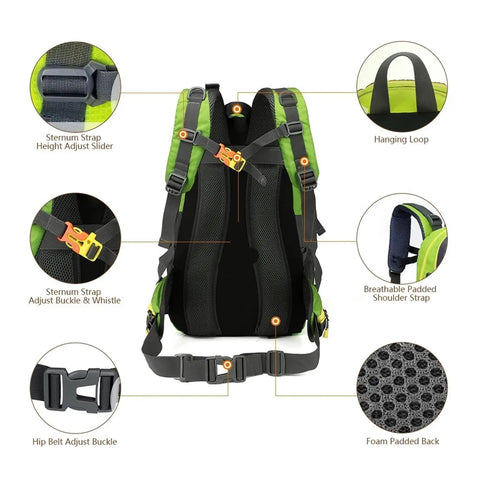 Back view of 40L Water Resistant Travel Backpack For Camping And Hiking with detailed straps and padding, green accents.