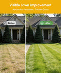 Two lawns showing before and after using Manual Lawn Aerator With 16 Sharp Spikes For Deep Soil Penetration In A 4 By 4 Grid, No Fuss Yard Aeration Tool With Pre Assembled Design And Self Ejecting Soil, Black And Orange Finish For Quick Healthy Lawns