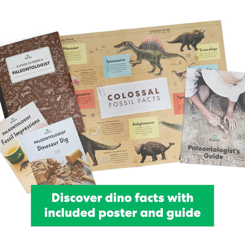 Dinosaurs Fossil Dig Kit For Kids Ages 6 And Up, Real World Science Excavation And Skeleton Assembly, Dig Up Bones, Build A Full Dino Replica With Mini Dinosaurs, Modeling Clay, Plaster, And Geologic Timescale Facts Poster, poster and guides
