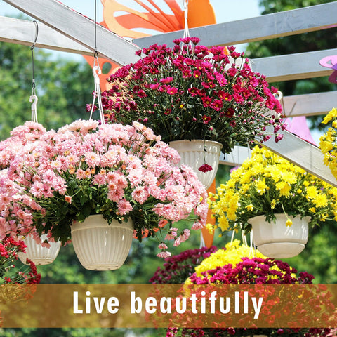 Heavy Duty 18 Inch Stainless Steel Hanging Cable With Carabiner Hooks 4 Pack Bird Feeder Wire For Outdoor Decor hanging planters