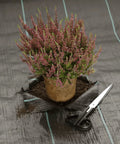 Heavy Duty Woven Weed Control Fabric 6 by 33 Feet Black Ground Cover Membrane with plant and scissors on surface