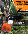 Gas Powered Pole Saw With Adjustable 90 To 180 Degree Head For A Beastly 15 Ft Reach Includes 12 Inch Bar And Chain And 38 Inch Extension For Tree Trimming And Tall Branches in use, showing 42.7cc engine and orange design.