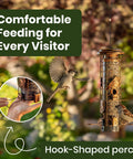 Squirrel-Proof Outdoor Bird Feeder That Delivers Mealworms And Seeds, Large 3-Pound Capacity, Weather-Resistant Hanging Tube