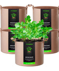 Five-Pack 10 Gallon Heavy Duty Nonwoven Grow Bags With Thickened Fabric And Rugged Strap Handles Tan For Air-Pruned Roots, Strong Drainage, Reusable Plant Pots