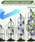 Obelisk Garden Trellis For Climbing Plants 6 Ft Rustproof Plastic Coated Metal Vine Support Cage with adjustable height
