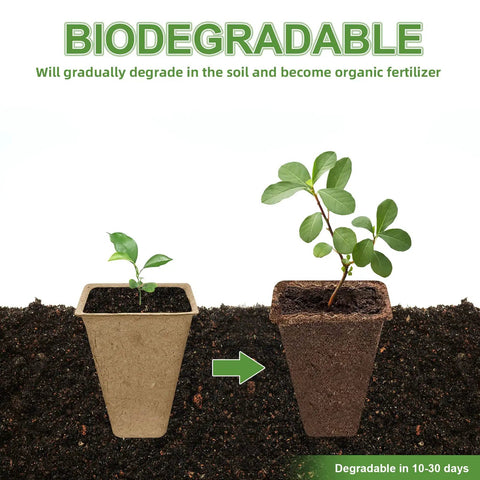 Biodegradable Peat Pots Seed Starter Tray Kit With 240 Cells And 20 Plant Labels, showing plant growth and pot decomposition.