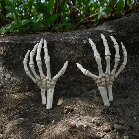 Left And Right Skeleton Hands 8 Inch Spooky Bones Halloween Decor for Indoor or Covered Outdoor Displays on soil background