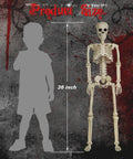 Two-Pack 36 Inch Pose N Stay Skeleton Decorations with size comparison to child silhouette