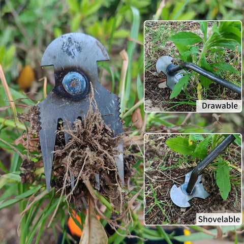 Dual Purpose 4-Teeth Weeder Tool With Rubber Handle removing weeds in garden, showcasing dig and pull functionality.