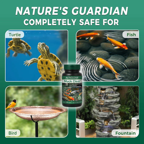 Muck Clear Natural Pond Sludge Treatment Tablets For Ponds, Fountains And Bird Baths, Beneficial Bacteria And Enzymes, Chemical Free, Safe For Fish Pets And Wildlife, 250 Tablets bottle with turtle, fish, bird, and fountain images showing usage and safety.