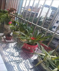 Balcony plants on durable perforated stainless steel sheet with 10mm holes 50x100 cm mesh panel for DIY decorative screen