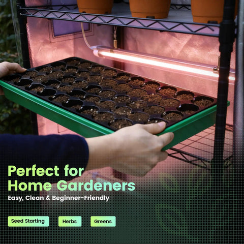 Mini Indoor Greenhouse With 18W T8 Grow Lights And Digital Thermo Hygrometer showing seed tray placement