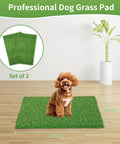 Two Pack 30X20 Inch Dog Potty Grass Training Turf Mats With Drainage Holes, Washable Artificial Grass Rug for puppies and pets