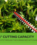 40V Cordless Pole Hedge Trimmer With 20 Inch Dual Action Blade cutting thick branches in garden