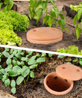 Underground Worm Composting Bin 10 Inch For Outdoors Easy To Use For Beginners Inground Worm Composter in garden bed.