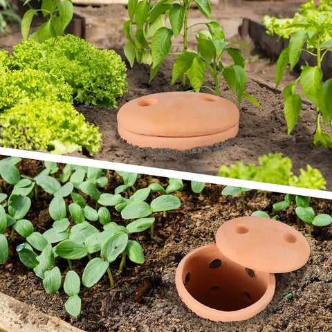 Underground Worm Composting Bin 10 Inch For Outdoors Easy To Use For Beginners Inground Worm Composter in garden bed.