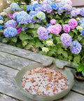 Ceramic Bird Bath For Outdoors On Ground, 9.5 Inch Green Bowl filled with seeds, on wooden deck near blooming hydrangeas