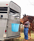 Two Pack 4 Inch Heavy Duty Tack Hooks Over Rail Bridle Rack holds blue bucket on horse trailer with horse nearby