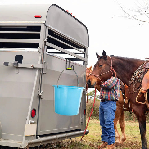 Two Pack 4 Inch Heavy Duty Tack Hooks Over Rail Bridle Rack holds blue bucket on horse trailer with horse nearby