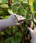 Person using Smart Touch Work Gloves With Nitrile Grip Palm, 60 Pairs, 3D Comfort Stretch Fit, Ambidextrous Seamless Knit Nylon, Tough Black Gloves For Warehouse Hustle, Logistics, And Handling, Size Large, trimming plants.