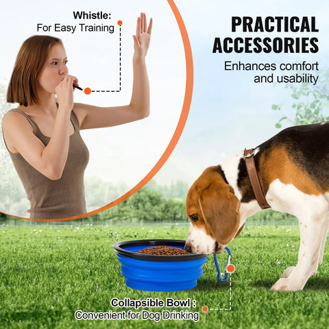 Dog using collapsible bowl from All In One Dog Agility Training Kit For Backyard Fun With Adjustable High Hurdles Weave Poles Jump Ring Pause Box