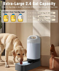 Dog drinking from 2.4 Gallon Stainless Steel Gravity Dog Water Dispenser With Ergonomic Handle Anti Splash Drinking Bowl No Filter Easy