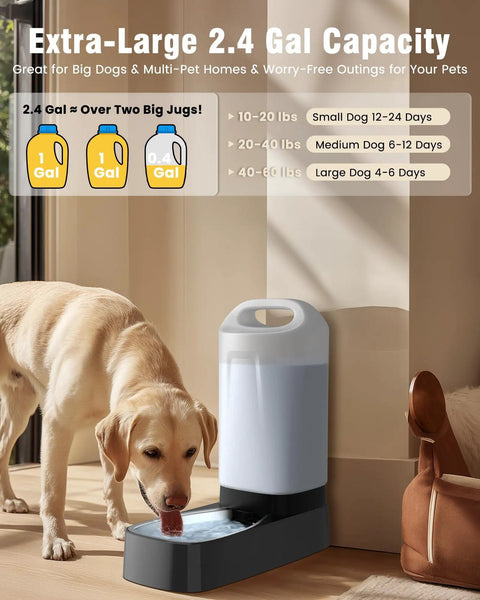 Dog drinking from 2.4 Gallon Stainless Steel Gravity Dog Water Dispenser With Ergonomic Handle Anti Splash Drinking Bowl No Filter Easy