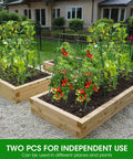Two Pack A Frame Cucumber Trellis Garden Trellis For Climbing Plants Outdoor Raised Bed Plant Grow Support For Tomato Squash Vegetable And Flower 33 By 47 Inches Each