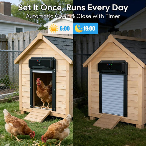 Solar Powered Roll-Up Chicken Coop Door With Remote Display, showcasing automatic open and close timer, chickens entering coop