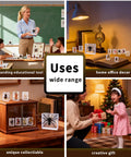 Real Animal Specimens In Resin Taxonomy Kit For Science Class And Homeschool in educational and home settings with specimens displayed