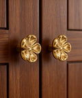 Premium Solid Brass Gold Cabinet Knobs With Cherry Blossom Flower Design on wooden cabinet doors