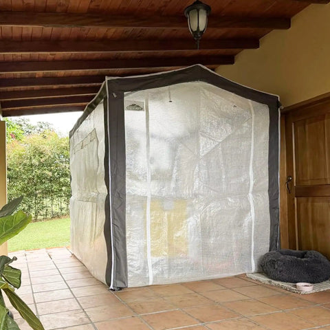 8x6 Portable Walk In Greenhouse With Polyester Reinforced Corners Quick Easy Pop Up Setup Tool Free Indoor Outdoor Gardening Greenhouse Roll Up Zipper Doors And Mesh Windows Gray White