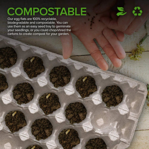 Must-Have 30-Cell Egg Crates 15 Pack Recyclable Pulp Fiber Egg Flats used for seed planting.