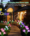Lit Seven Color Changing Solar Lily Garden Lights With 24 LED Petals illuminating a pathway in a garden setting at night