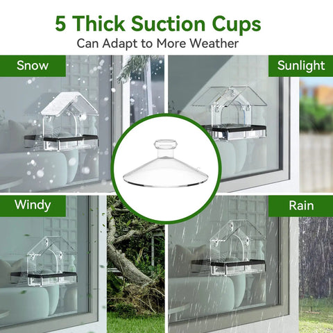 Clear Window Bird Feeder With Five Extra Strong Suction Cups For Quick No Mess Viewing Of Wild Birds From Inside Your House in various weather conditions