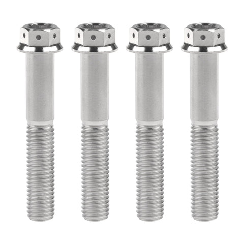 Titanium Flange Hex Head Bolts M10 X 60mm With 1.25mm Pitch Pack Of 4 displayed in a row, silver finish, for auto and bike projects.
