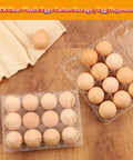 12 Count Clear Plastic Egg Cartons Bulk Pack With Sturdy Snap Lids No Fuss Reusable Egg Storage For Farm Market Or Family Kitchen