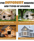 Four seasons display of Cozy Predator Proof Chicken Coop For 2 To 4 Chickens with varied decor and surroundings.