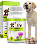 Game Changer Milk Thistle For Dogs With 180 Chewable Tablets next to a Labrador, promoting liver and kidney health.