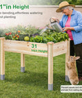 Heavy Duty Raised Garden Bed On Legs 331 Lb Capacity 48 By 24 By 31 Inches Large Planter Box For Vegetables Flowers And Herbs Fir Wood With Reinforced Beam And Column Support Outdoor Garden Bed For Easy Harvest in use, elderly person watering plants