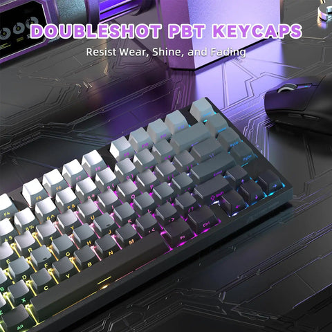 75 Percent Magnetic Gaming Keyboard Packed With 8K Polling Rate And Instant Rapid Trigger For Zero Lag Action Wired RGB Moonlight Build displaying doubleshot PBT keycaps.
