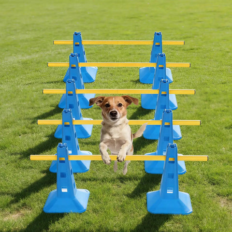 Dog jumping over Dog Agility Hurdle Cone Set For Backyard Training With 4 Adjustable Height Levels And Crossbar Rehab Friendly Obstacle Course Kit For Beginners Includes 10 Blue Bases And 5 Yellow Bars