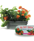 Awesome Windowsill Garden Starter Kit With Tomato And Marigold Seeds, galvanized planter with blooming plants and packaging