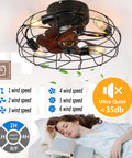 Dope 21 Inch Low Profile Farmhouse Ceiling Fan With Lights Remote Control Flush Mount showing bladeless design and timer options