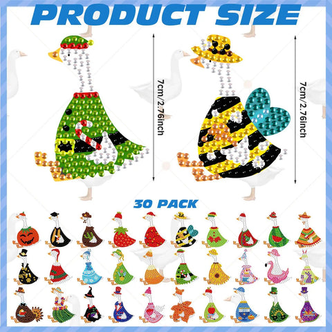 Goose Diamond Painting Magnets Set For Fridge 30 Pieces featuring colorful designs and measurements