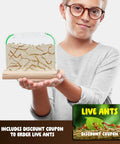 Person holding Ant Farm Kit For Kids And Curious Learners Complete Colony Setup With Sand Habitat And Living Ants Voucher Included