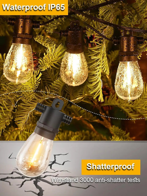 Outdoor LED String Lights 25 Ft Waterproof IP65, warm white bulbs, hanging on a tree, shatterproof, weatherproof.