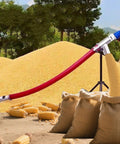 Heavy Duty Industrial Screw Conveyor For Farm Use With Flexible Spiral Auger, showing grain transfer outdoors
